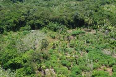 Partially cleared coastal rainforest parcels suitable for subdivision and development on Caribbean Panama shoreline