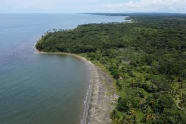 Magnificent sandy beach with lush tropical jungle on Caribbean development site in Colon Panama