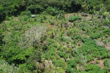 Extensive green wooded Caribbean coastal property ideal for eco-tourism or resort Panama