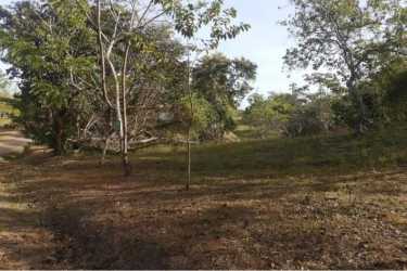 Vacant wooded land plot in Las Uvas San Carlos inside Hacienda La Florenciana estate Panama