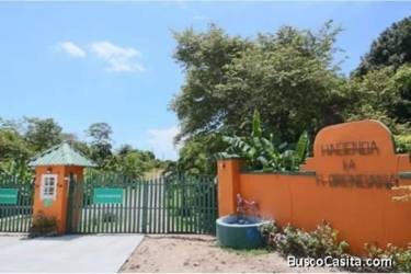 Main security gated entrance of Hacienda La Florenciana Las Uvas San Carlos Panama