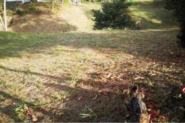 Natural terrain and greenery Hacienda La Florenciana San Carlos Panama