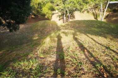 Tree-covered lot with slope Hacienda La Florenciana Las Uvas San Carlos Panama