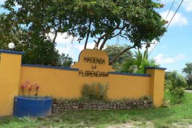 Decorative estate entrance wall with flamingos Hacienda La Florenciana Panama