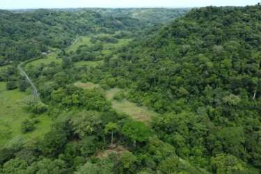 Wide aerial shot green forest, partially cleared areas perfect for eco-resort Piña Chagres Panama
