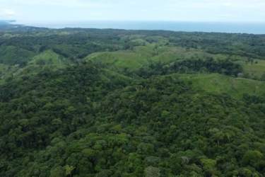 Aerial view of lush forested hills meeting ocean horizon in Piña Chagres Colón Panama