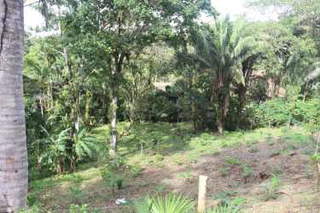 Land Lot for Sale in Toabré - 0 bedrooms