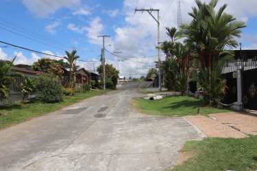Quiet tropical street lined with palm trees and gated houses Bugaba Chiriquí Panama