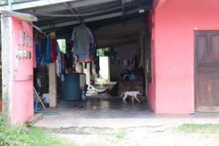 House with Lot & Apartments for Sale in Bugaba - 4 bedrooms