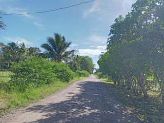 Land for Sale in San Lorenzo - 0 bedrooms