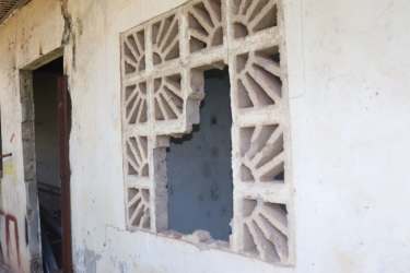 Overgrown dense greenery trees on residential lot Llano Bonito Chitré Panama