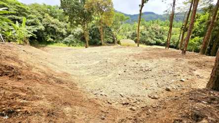 Cleared construction site surrounded by dense forest and mountain views in Altos del María Panama