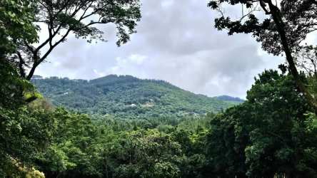 Expansive mountain scenery of forested hills in Altos del María, perfect for weekend retreat