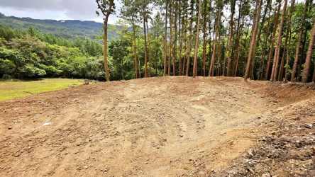 Wooded mountain slope with lush greenery ideal for nature seeker in Altos del María Panama