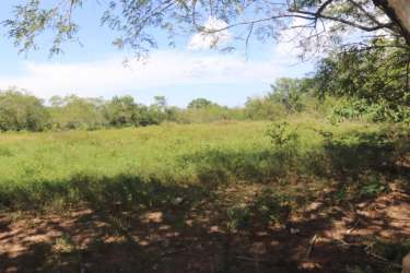 Natural vacant lot with mature trees ideal for development or agriculture in Parita