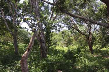 3.19 Hectare Residential Land near Chitré Parita