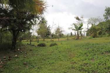 Unfinished covered area with concrete walls and metal roof in Boquerón countryside home