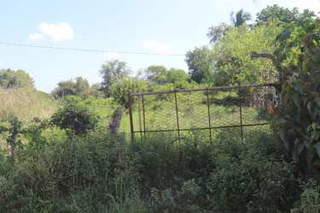Land for Sale in San Lorenzo - 0 bedrooms