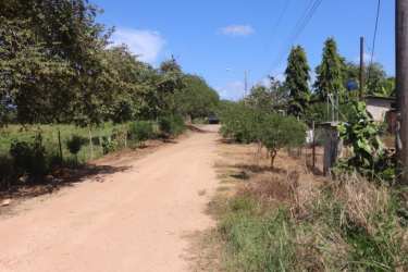 Expansive pastoral terrain with scattered bushes and transmission poles in San Lorenzo Panama