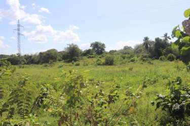 Natural terrain with bushes, trees, and transmission tower under blue sky Volcán Chiriquí