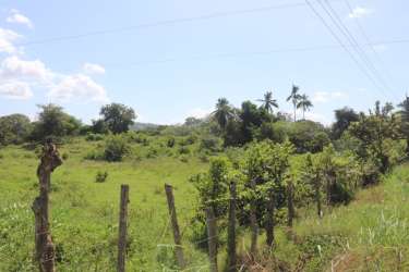 Flat grassland fenced and partially wooded in rural San Lorenzo Panama