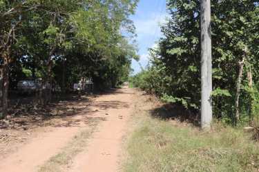 Sunny rural dirt roadway with trees leading to land parcel in Parita Herrera Province