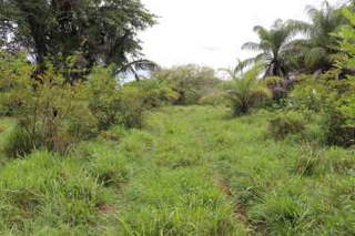 Land for Sale in La Arena - 0 bedrooms