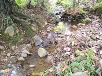 Large private agricultural lot with rolling countryside in Los Santos Panama