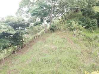 Hilly farmland plot with bushes and tall grasses natural terrain Los Santos Panama
