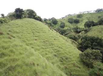 Hillside vacant land with lush bushes and meadow in Macaracas District Los Santos Panama