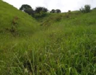 Scenic hills dotted with trees over green countryside farmland in Los Santos Panama