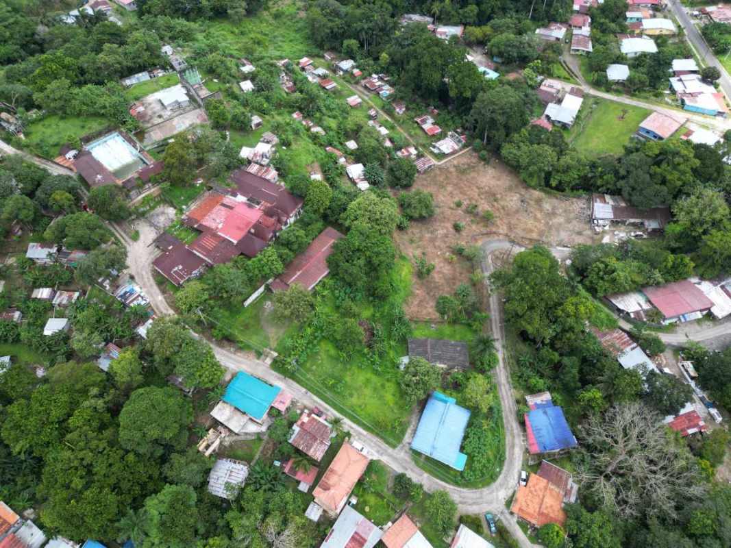 Lush open plot surrounded by greenery in Las Cumbres residential area