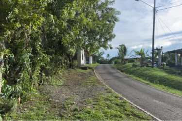Narrow paved access road through lush forest near lake property Escobal Colón Panama