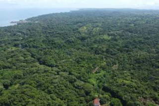 Land for Lease in Santa Isabel - 0 bedrooms