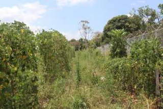 Land/Lot for Sale in Aserrío - 0 bedrooms