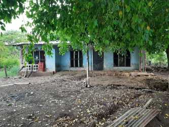 Rustic small house with metal roof and blue walls on large country lot