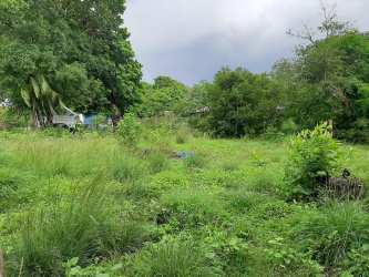 View of countryside lot with large trees and fencing ideal for development