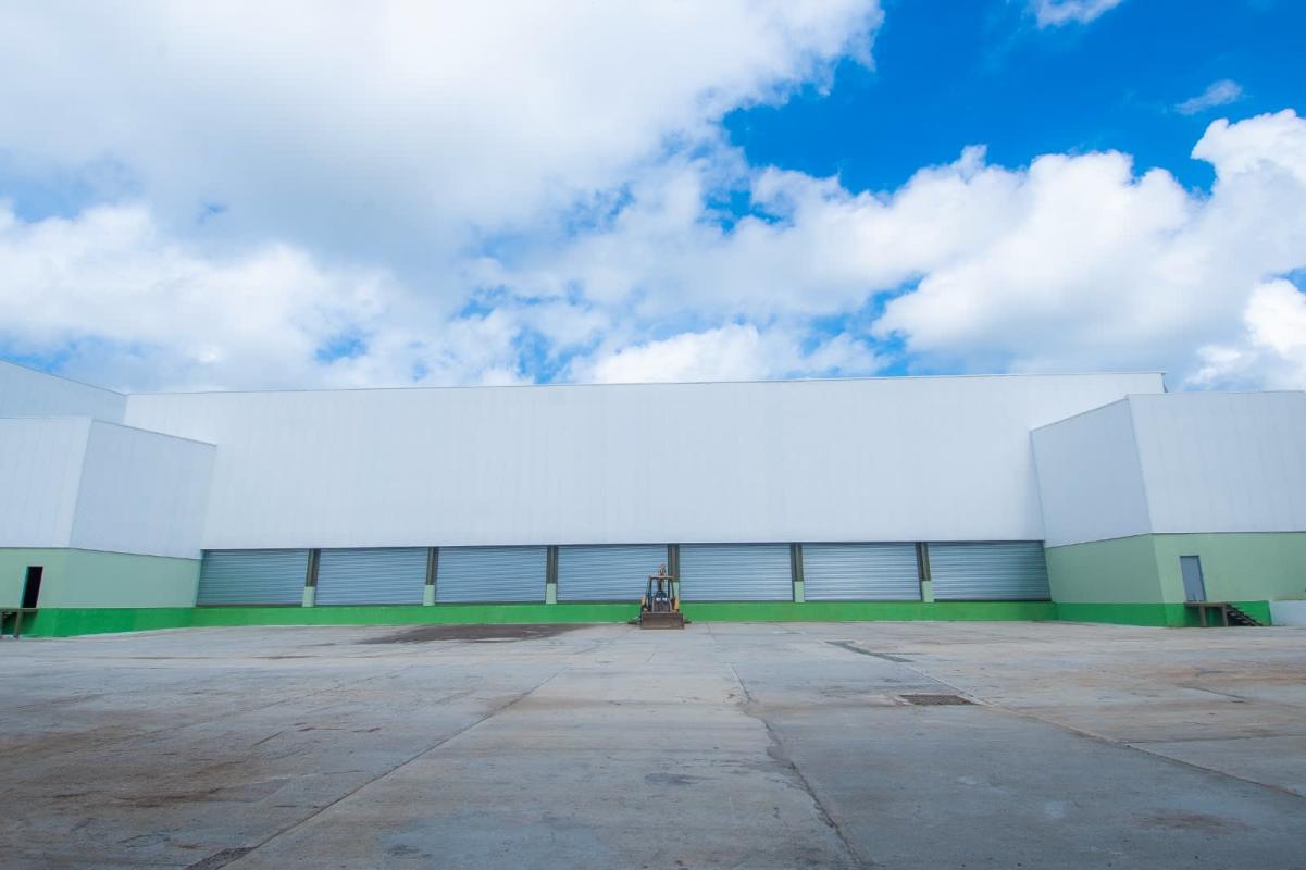Spacious outdoor loading area with multiple roll-up truck access doors Panama City