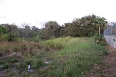 Vacant residential lot facing paved street with utility access in Coronado Panama