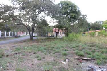Vacant lot with trees and grass in popular Coronado beach residential Panama