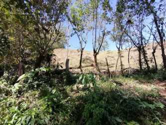Rustic fence natural grass hilly terrain farmland Soná Veraguas