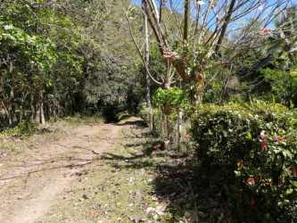 Dirt track and dense forest vegetation on farmland Soná Veraguas