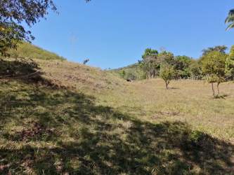 Wooded countryside land with natural sunlight in Soná Veraguas Panama