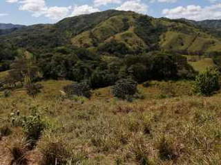 Agricultural Land for Sale in Guarumal - 0 bedrooms