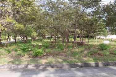 Residential lot with natural greenery ready for construction in Nueva Gorgona Panama