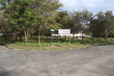 Vacant flat lot with trees in Nueva Gorgona close to the Pacific Ocean for sale