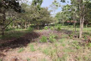 Land / Lot for Sale in Chame - 0 bedrooms
