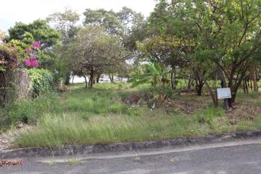Flat residential land plot with road frontage in Coronado countryside area Panama