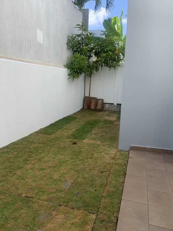 Private backyard with green grass new sod and concrete boundary in Brisas del Golf Panama