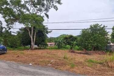 Open residential lot with mix of dry and green grass, mature trees, overhead utility lines in El Espino Panama